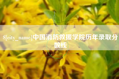 九江中国消防救援学院历年录取分数线