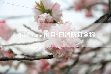 九江11月9日消防日全称