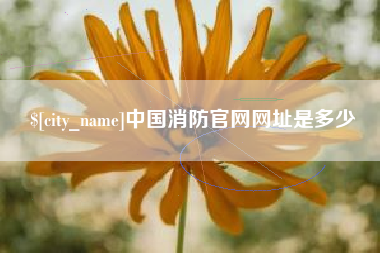 九江中国消防官网网址是多少