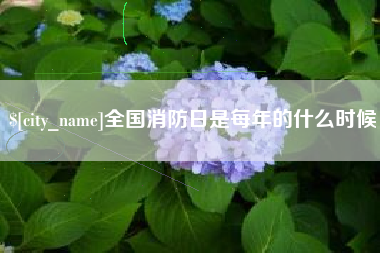 九江全国消防日是每年的什么时候