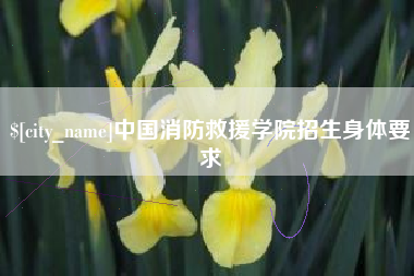 九江中国消防救援学院招生身体要求