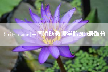 九江中国消防救援学院2020录取分