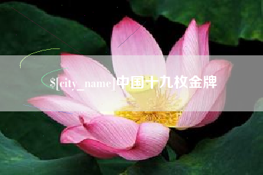 九江中国十九枚金牌
