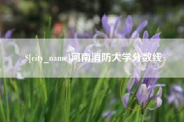 九江河南消防大学分数线