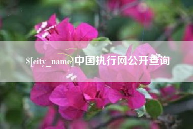 九江中国执行网公开查询
