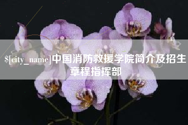 九江中国消防救援学院简介及招生章程指挥部