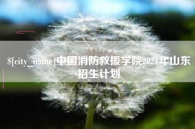 九江中国消防救援学院2021年山东招生计划