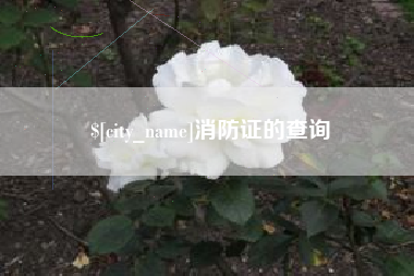 九江消防证的查询