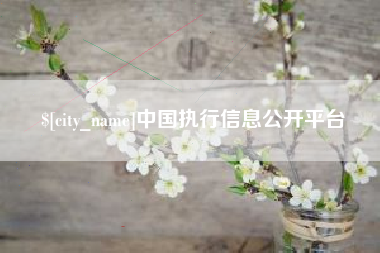 九江中国执行信息公开平台
