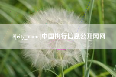 九江中国执行信息公开网网