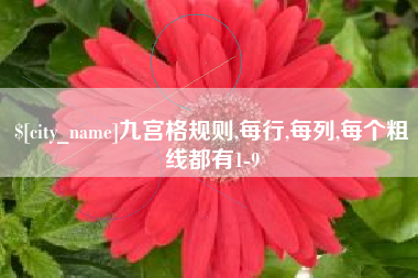 九江九宫格规则,每行,每列,每个粗线都有1-9