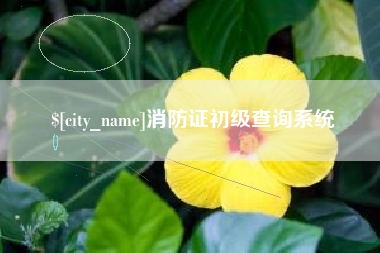 九江消防证初级查询系统