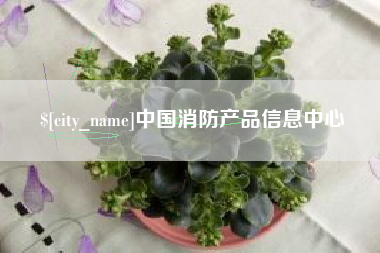 九江中国消防产品信息中心