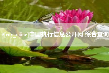 九江中国执行信息公开网 综合查询