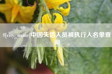 九江中国失信人员被执行人名单查询