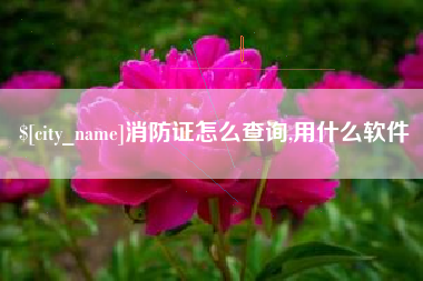 九江消防证怎么查询,用什么软件