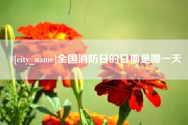 九江全国消防日的日期是哪一天