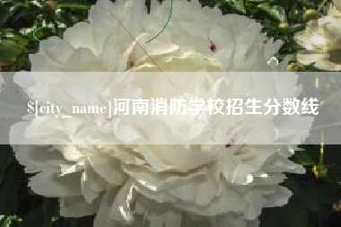 九江河南消防学校招生分数线