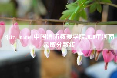 九江中国消防救援学院2020年河南录取分数线