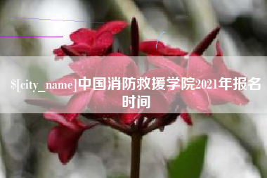九江中国消防救援学院2021年报名时间