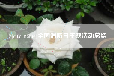 九江全国消防日主题活动总结