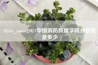 九江2021中国消防救援学院分数线是多少