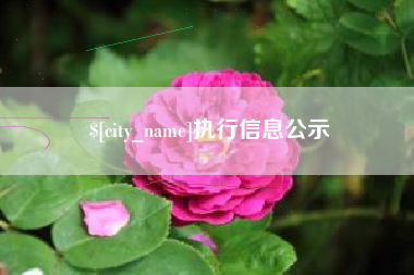 九江执行信息公示