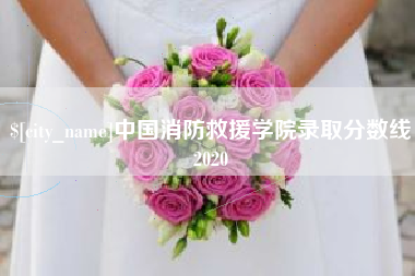 九江中国消防救援学院录取分数线2020