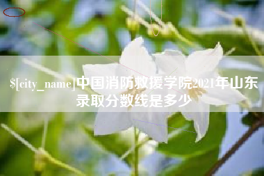 九江中国消防救援学院2021年山东录取分数线是多少