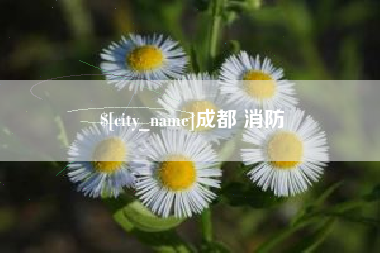 九江成都 消防