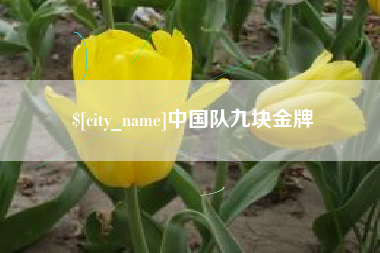 九江中国队九块金牌