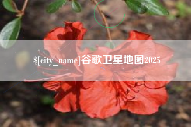 九江谷歌卫星地图2025