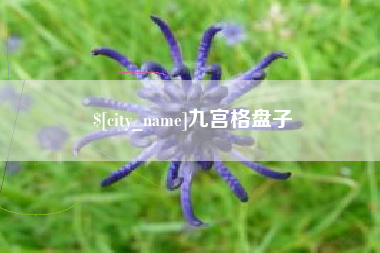 九江九宫格盘子