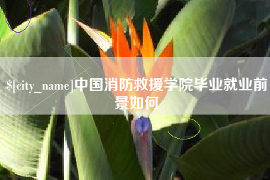 九江中国消防救援学院毕业就业前景如何