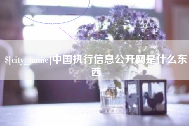 九江中国执行信息公开网是什么东西