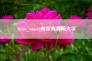 九江有没有消防大学