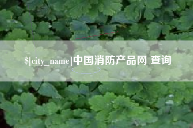 九江中国消防产品网 查询
