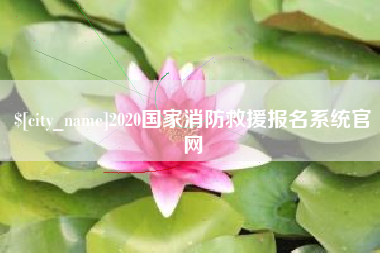 九江2020国家消防救援报名系统官网