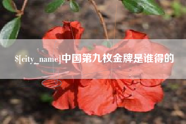 九江中国第九枚金牌是谁得的