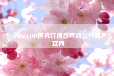 九江中国执行信息查询公开网怎么查询