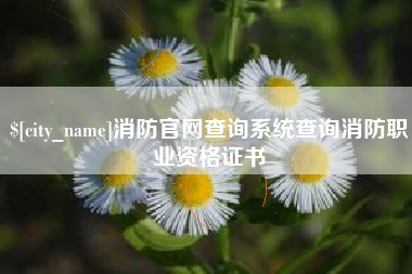 九江消防官网查询系统查询消防职业资格证书