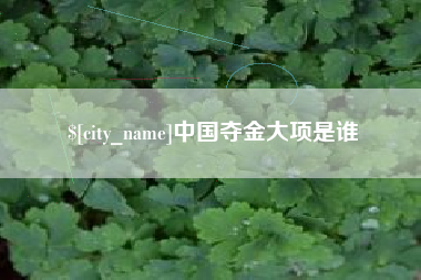 九江中国夺金大项是谁