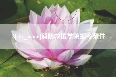 九江消防救援学院报考条件