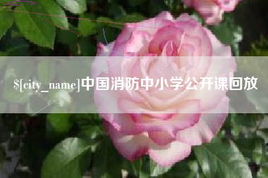 九江中国消防中小学公开课回放