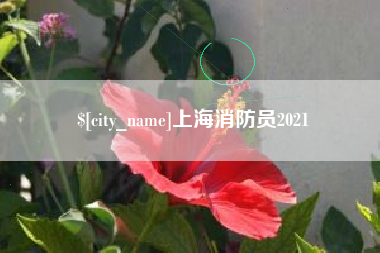 九江上海消防员2021