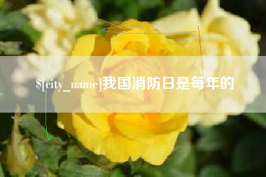九江我国消防日是每年的