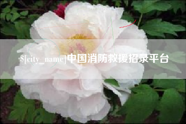 九江中国消防救援招录平台