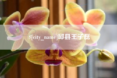 九江邱县王子磊