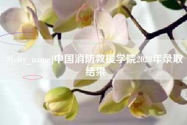 九江中国消防救援学院2020年录取结果