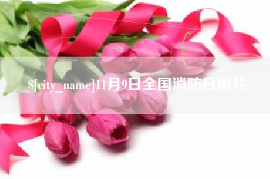 九江11月9日全国消防日图片
